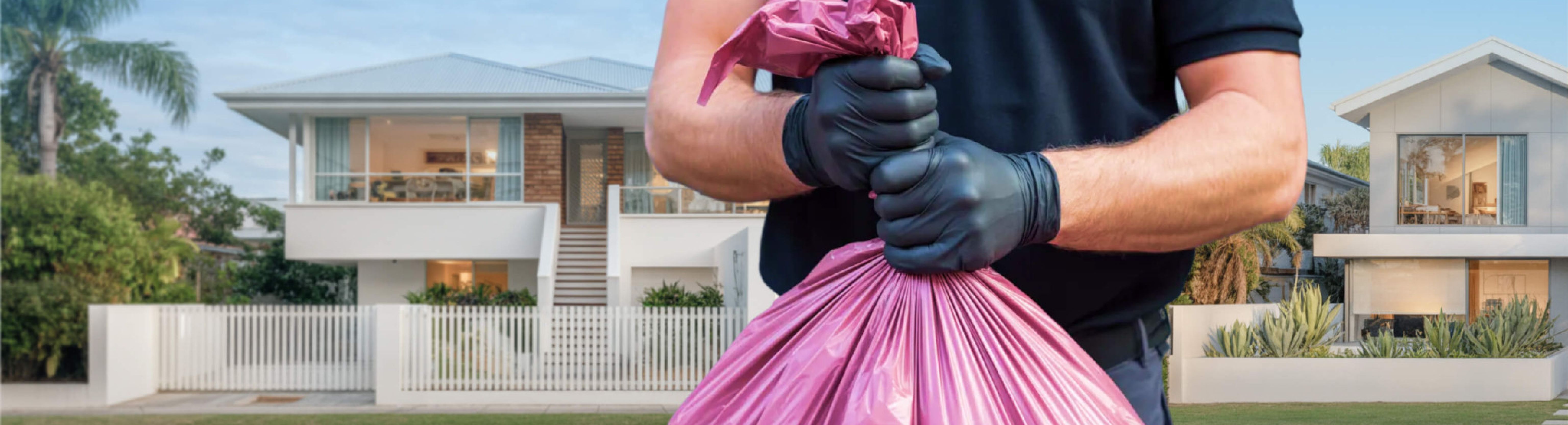 Title Strip 4 Compressed