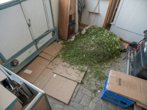 Green Weaste Cairns Rubbish Removals